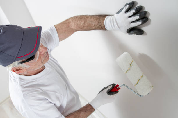Best Mold Removal for HVAC Installations  in Northfield, KY