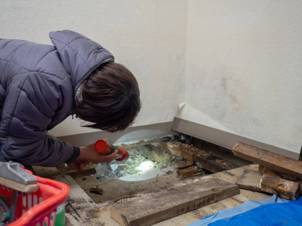 Best Real Estate Mold Inspection  in Northfield, KY