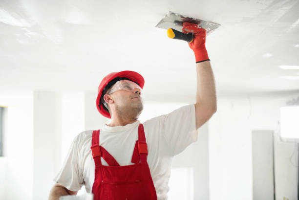 Trusted Northfield, KY Mold Removal Experts