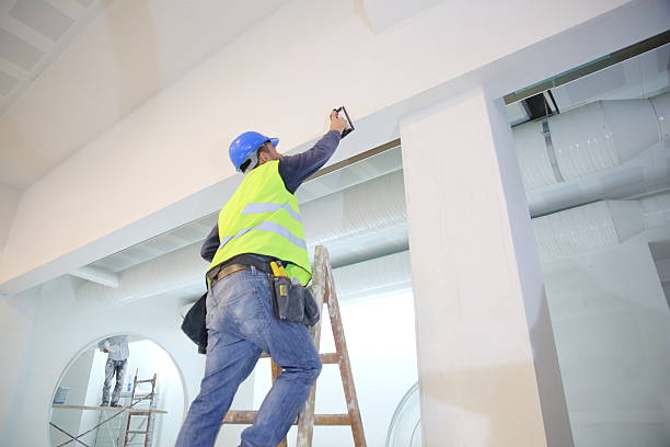 Best Black Mold Removal  in Northfield, KY